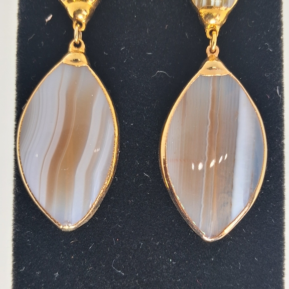 Botswana Agate Drop Earrings - Picture 1 of 2